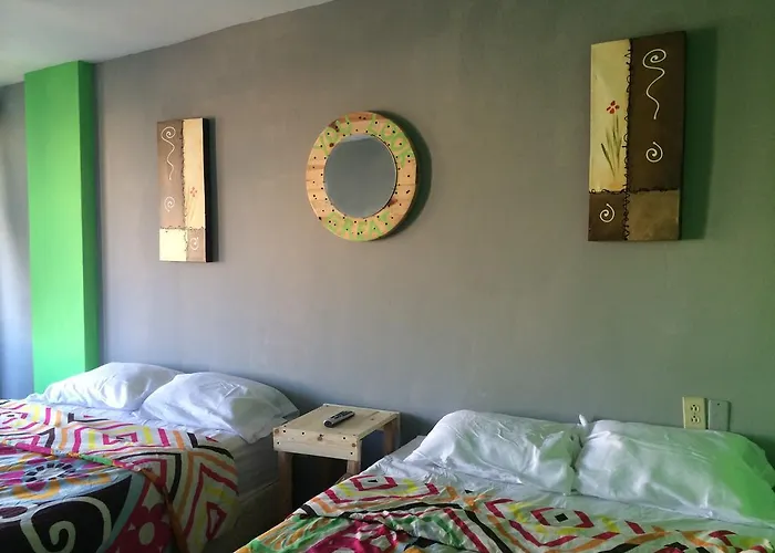 Bajas Cactus Hostel