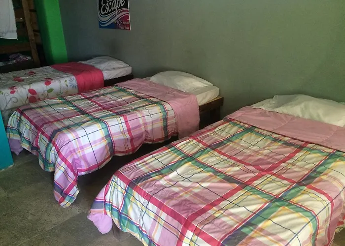 Bajas Cactus Hostel Cabo San Lucas