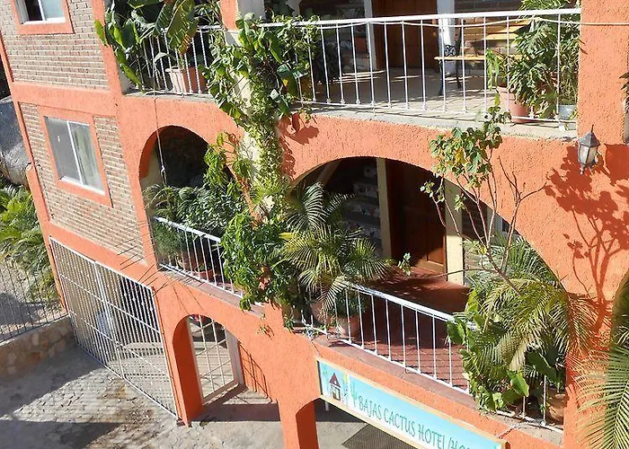 Bajas Cactus Hostel *