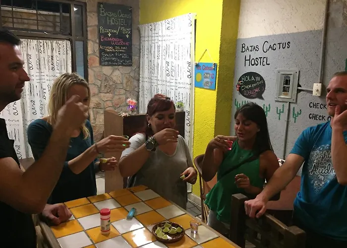 Bajas Cactus Hostel Cabo San Lucas