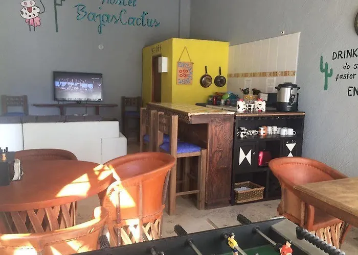 Bajas Cactus Cabo San Lucas