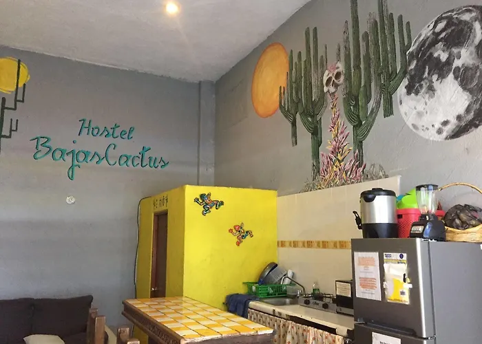 Bajas Cactus * Cabo San Lucas