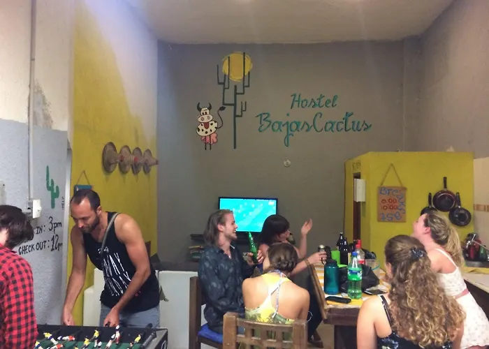 Bajas Cactus *