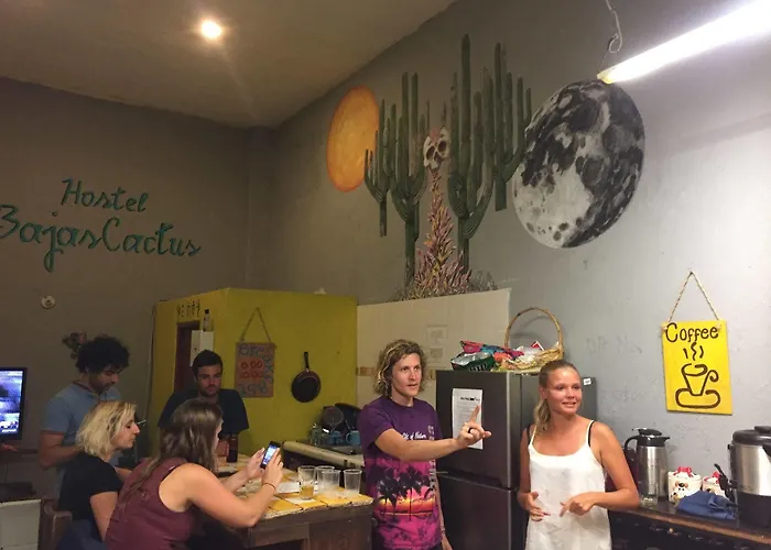 Bajas Cactus Cabo San Lucas