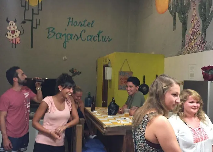 Bajas Cactus Hostel Cabo San Lucas