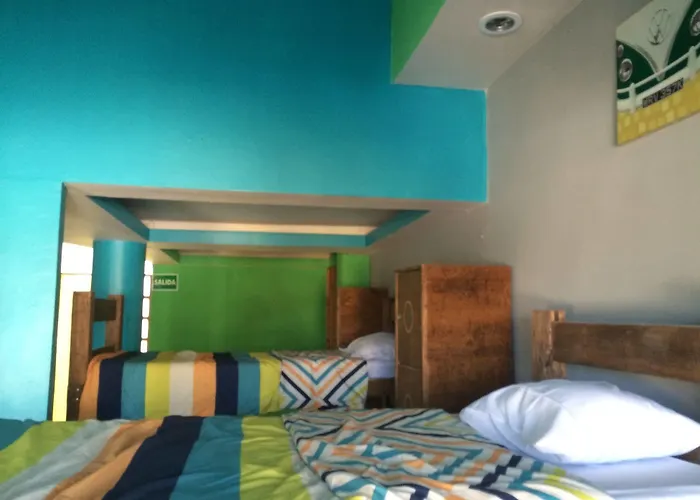 Bajas Cactus Cabo San Lucas