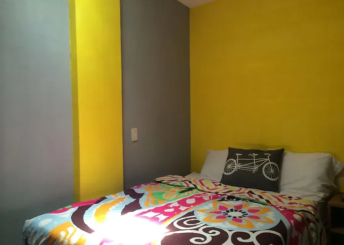 Hostel Bajas Cactus Cabo San Lucas