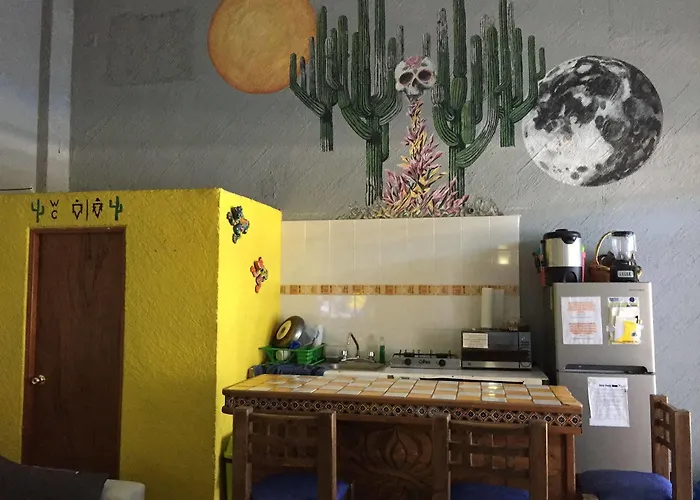 Hostel Bajas Cactus