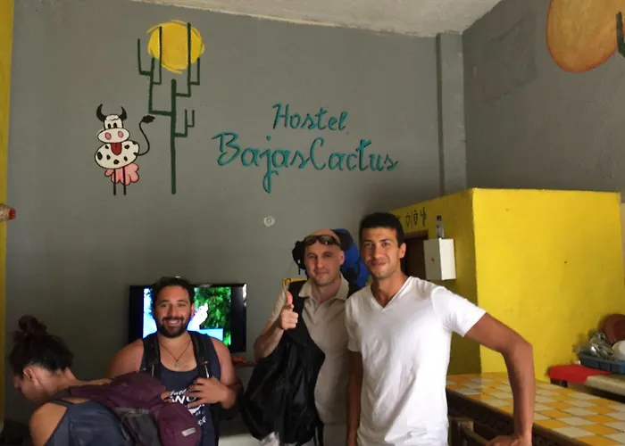 Hostel Bajas Cactus