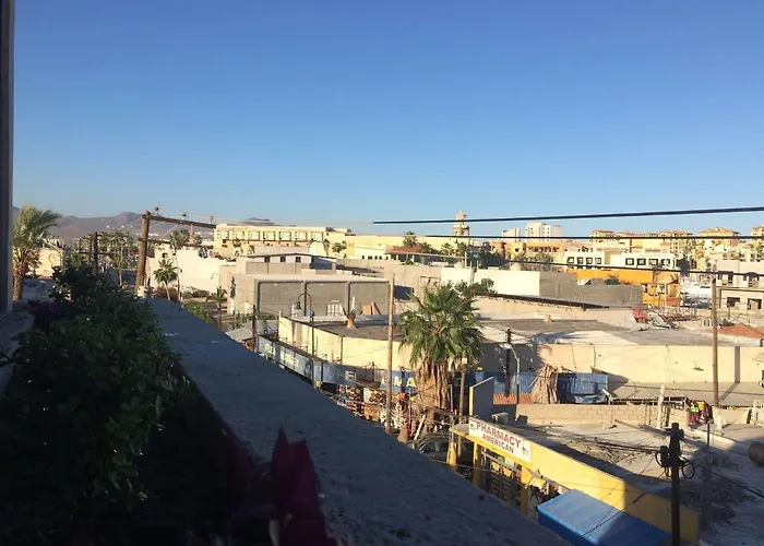Bajas Cactus * Cabo San Lucas