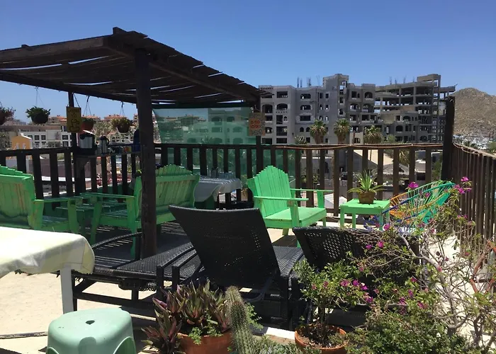 Bajas Cactus Hostel