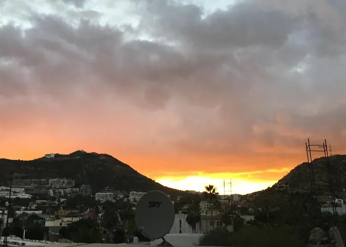 Bajas Cactus Cabo San Lucas