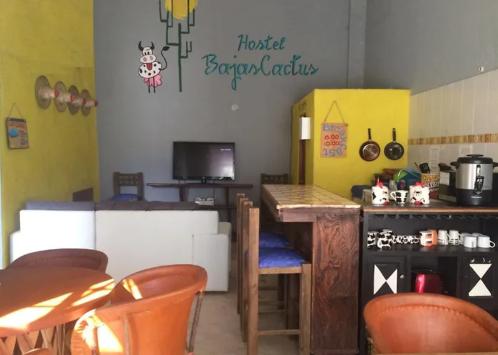 Hostel Bajas Cactus Cabo San Lucas