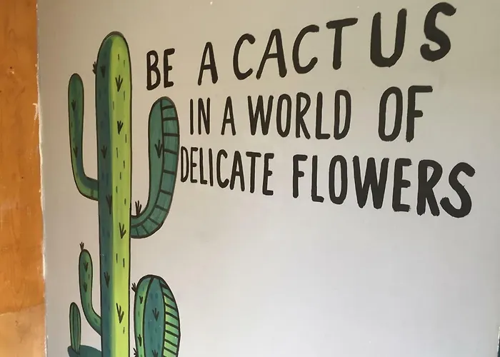 Bajas Cactus Cabo San Lucas